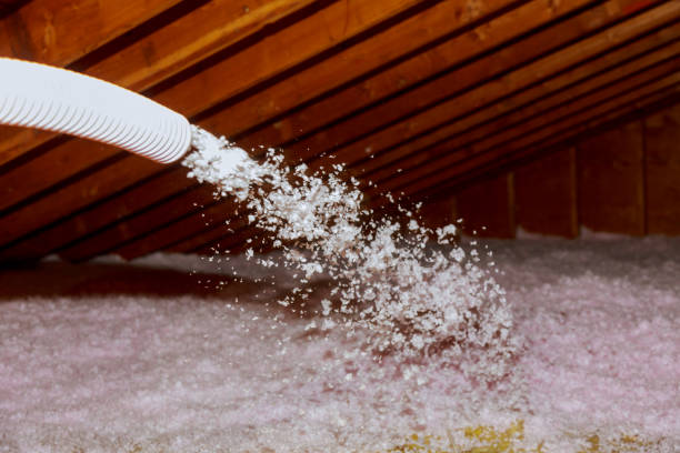 Garage Insulation Installation in Poncha Springs, CO